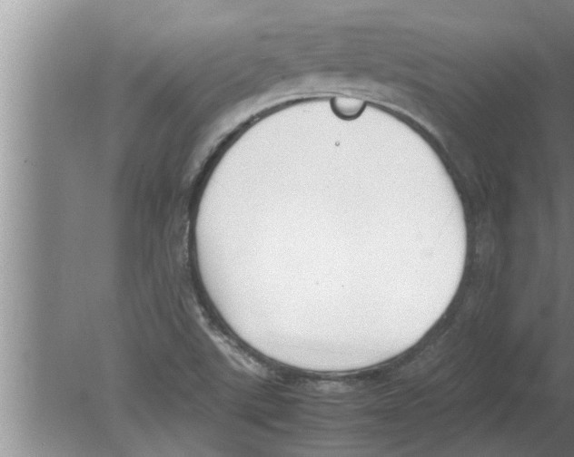 X0000080171507200612302206