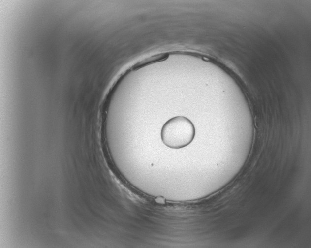 X0000080171508200612302206