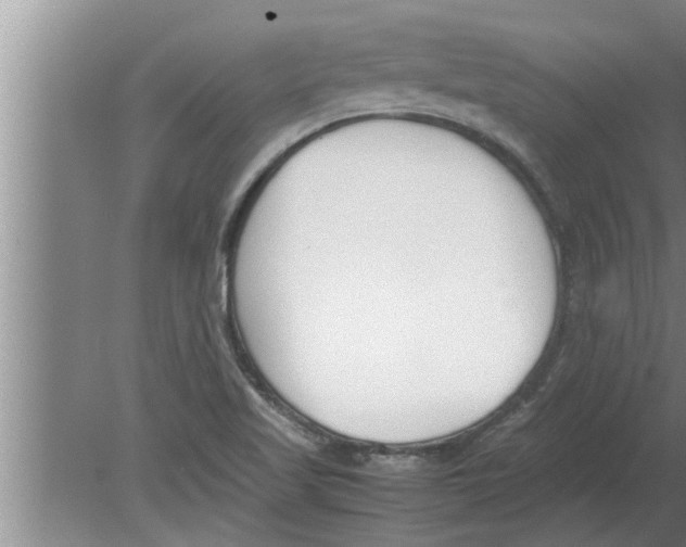 X0000080171509200612302206