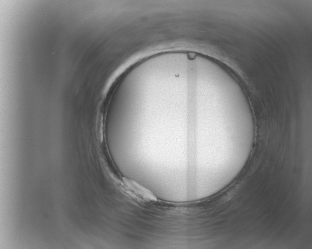 X0000080171510200612302206