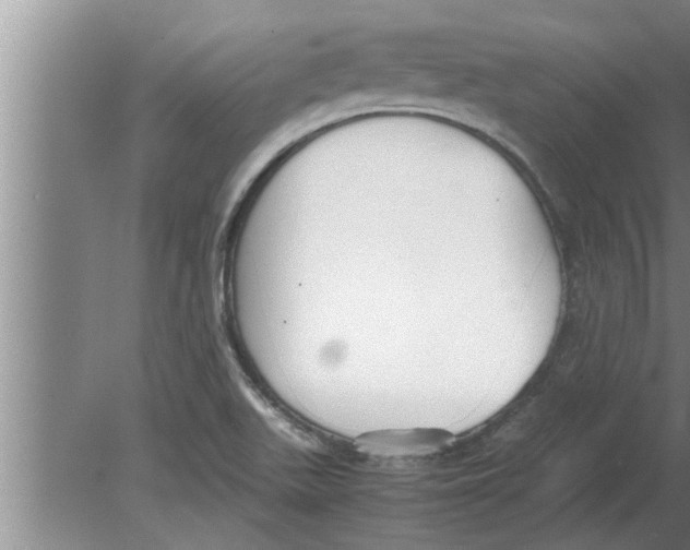 X0000080171511200612302206