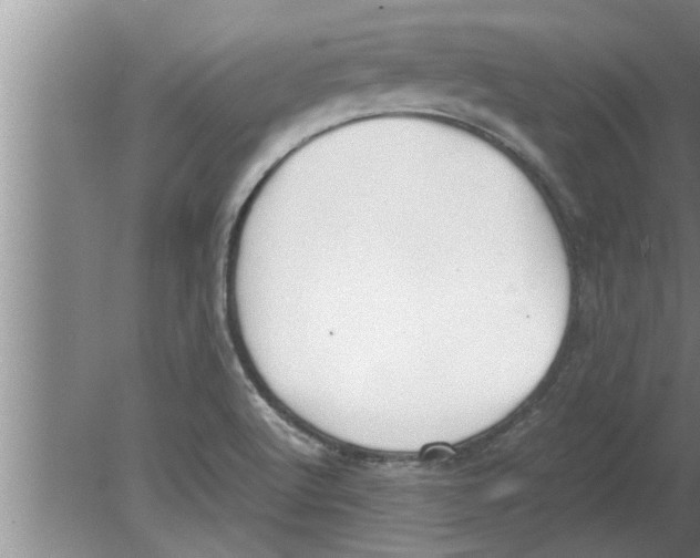 X0000080171512200612302206