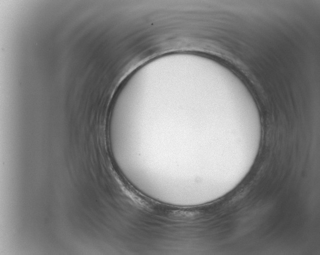 X0000080171513200612302206