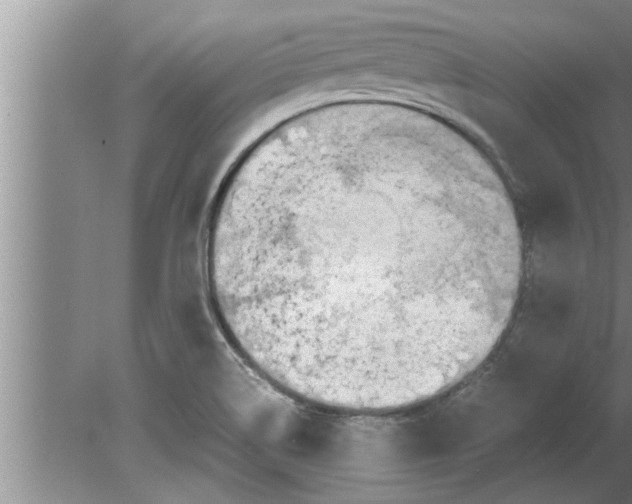 X0000080171514200612302206