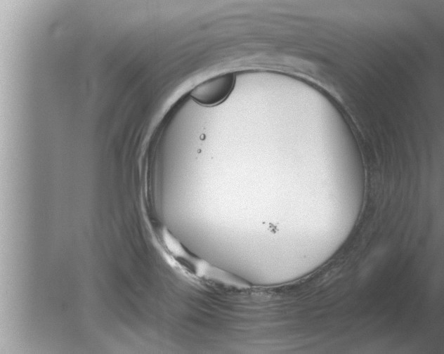 X0000080171515200612302206