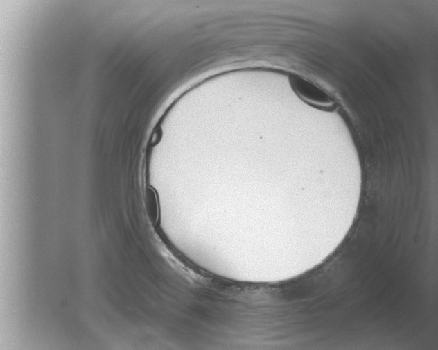 X0000080171516200612302206