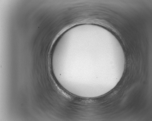 X0000080171517200612302206