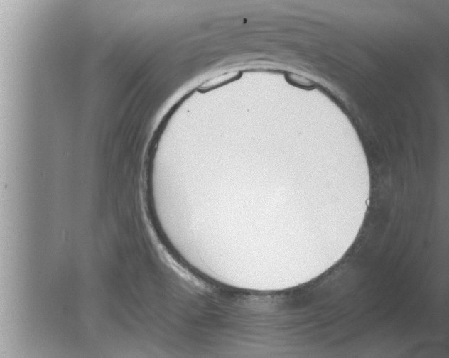 X0000080171518200612302206