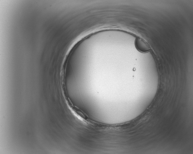 X0000080171519200612302206