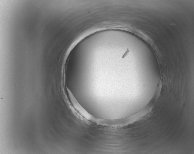 X0000080171520200612302206