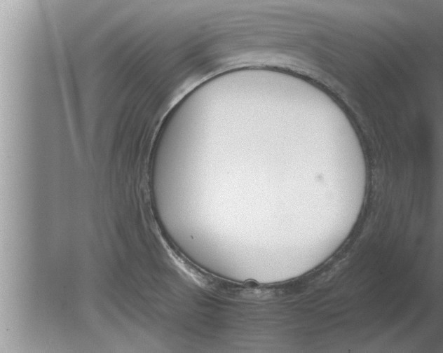 X0000080171521200612302206