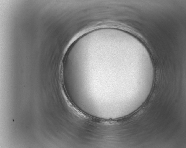 X0000080171522200612302206