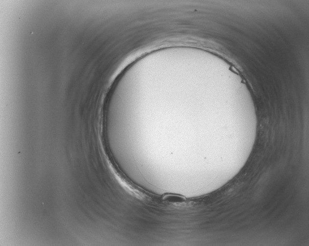 X0000080171523200612302206