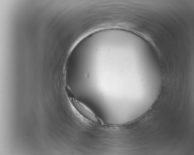 X0000080171524200612302206