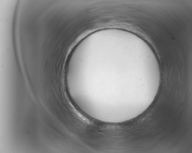 X0000080171525200612302206