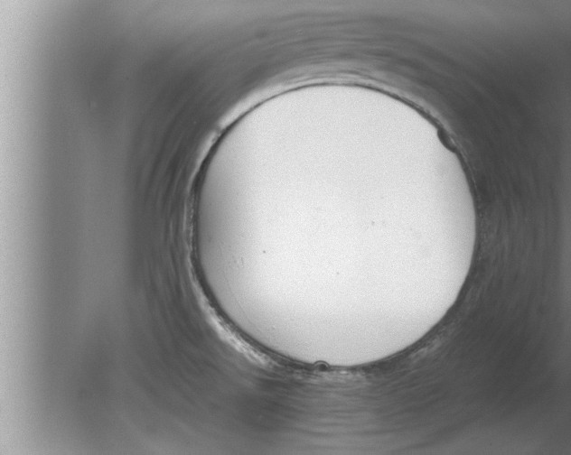 X0000080171526200612302206