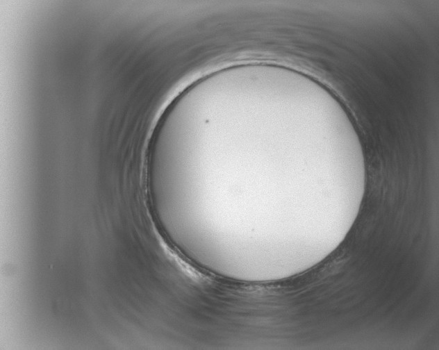 X0000080171527200612302206