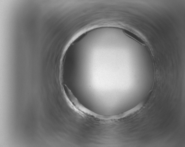 X0000080171528200612302206