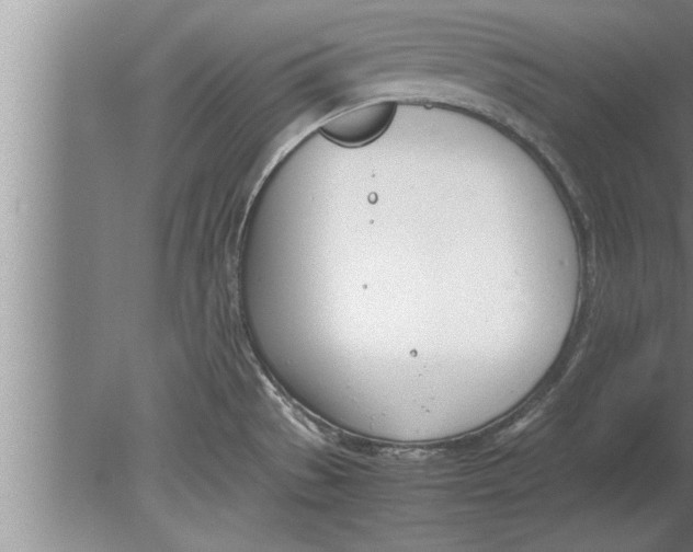 X0000080171529200612302206