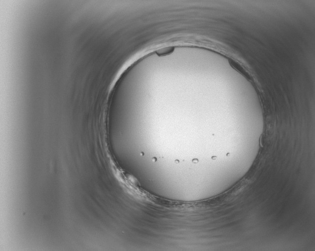 X0000080171530200612302206