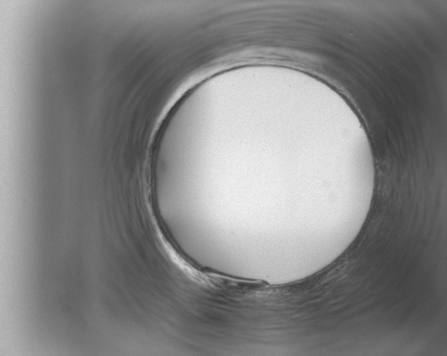 X0000080171531200612302206