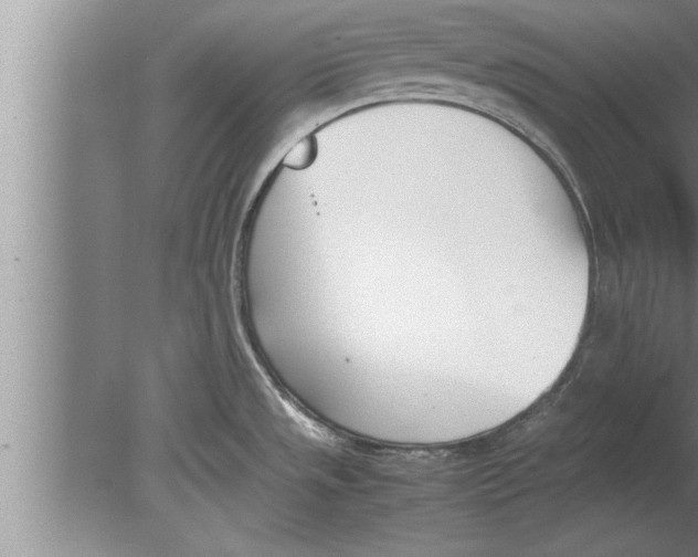 X0000080171533200612302206