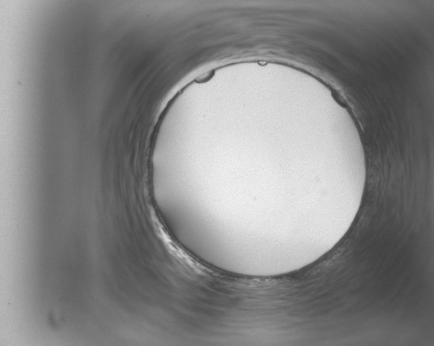 X0000080171534200612302206