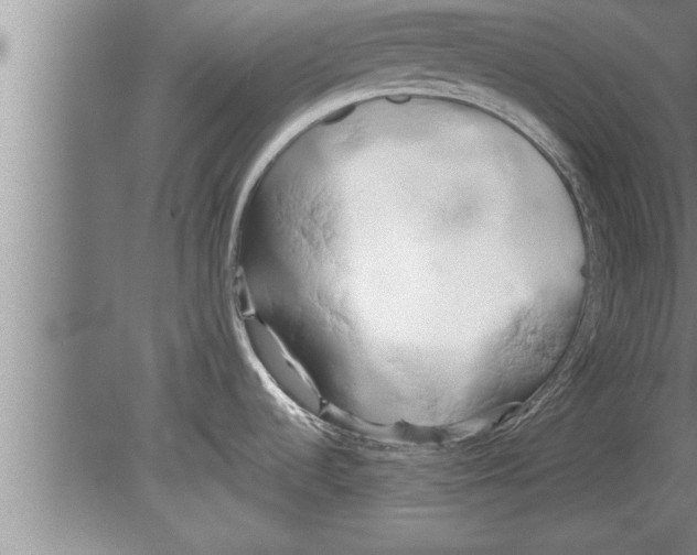 X0000080171536200612302206