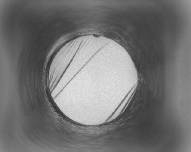 X0000080170006200701051643