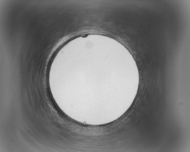 X0000080170008200701051643