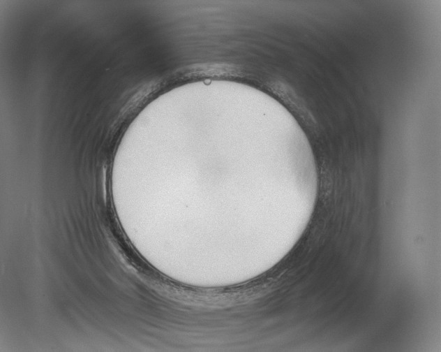 X0000080170014200701051643