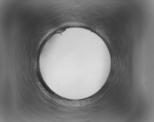 X0000080170015200701051643