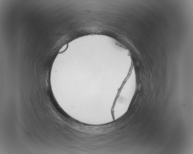 X0000080170023200701051643