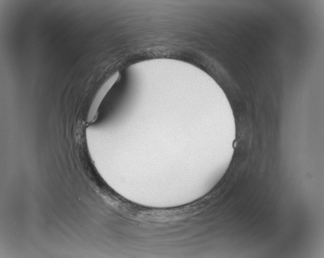X0000080170025200701051643