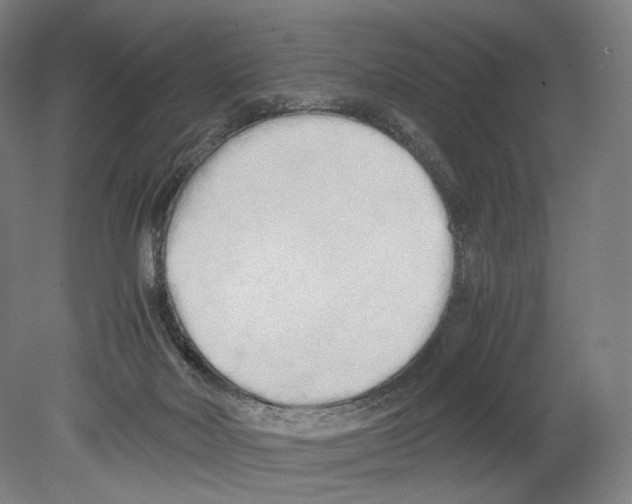 X0000080170026200701051643