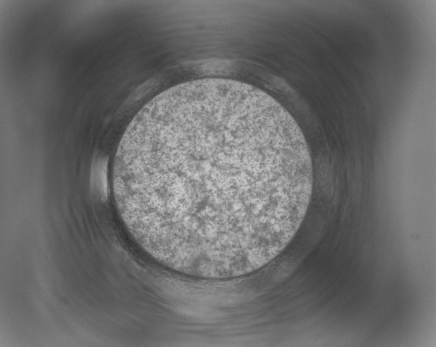 X0000080170028200701051643