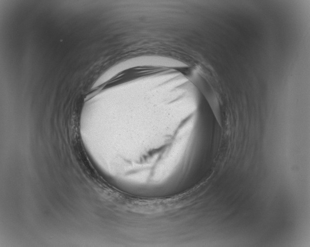 X0000080170029200701051643