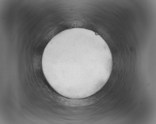 X0000080170034200701051643