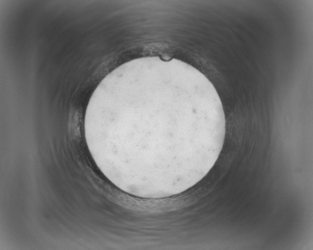 X0000080170038200701051642