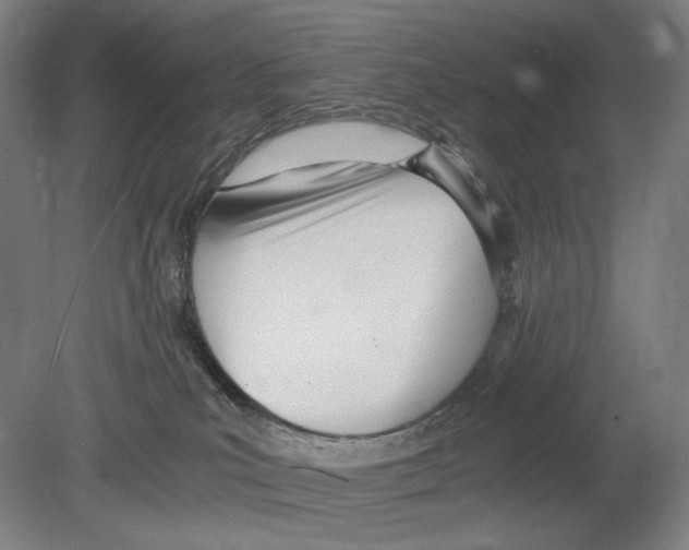 X0000080170039200701051642