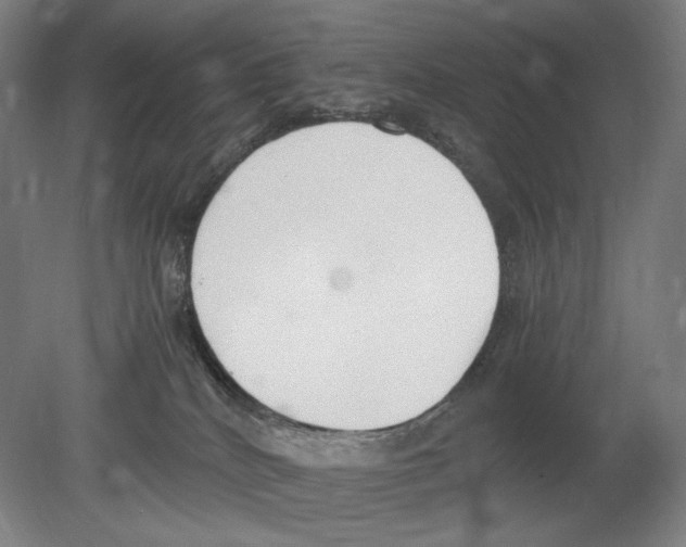 X0000080170040200701051642