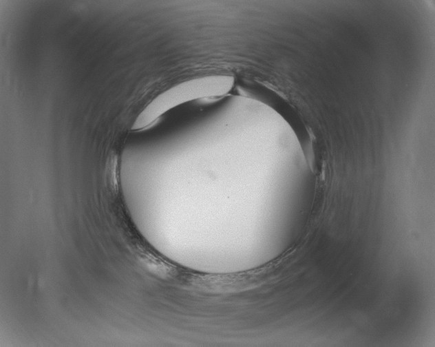 X0000080170041200701051642