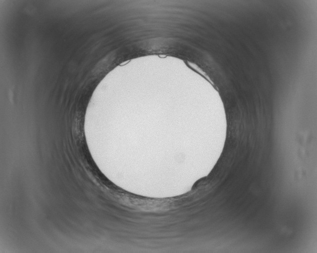 X0000080170044200701051642