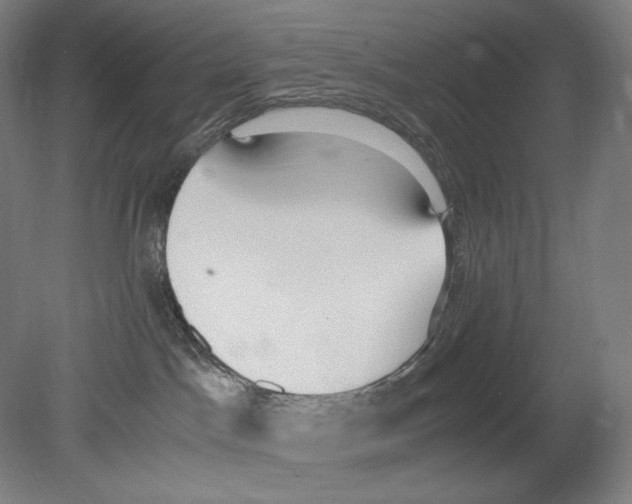 X0000080170045200701051642