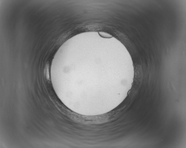 X0000080170046200701051642