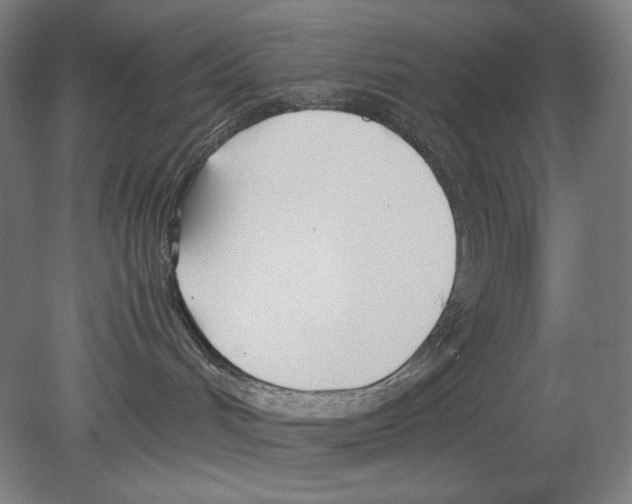 X0000080170048200701051642