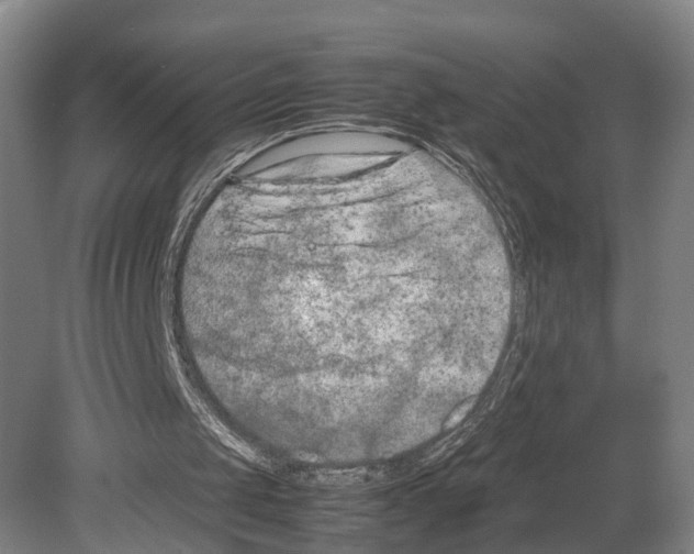 X0000080170049200701051642