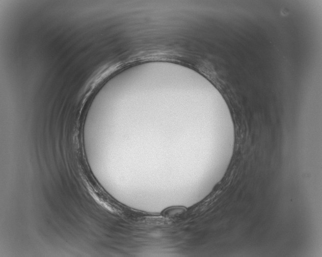 X0000080170050200701051642