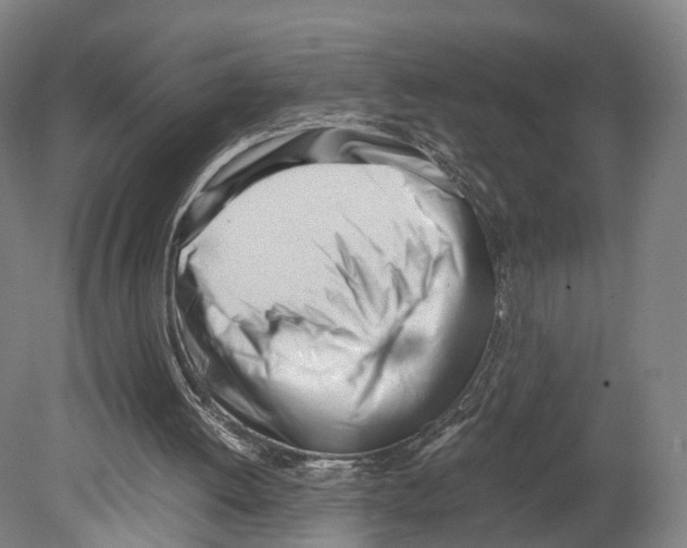 X0000080170052200701051642