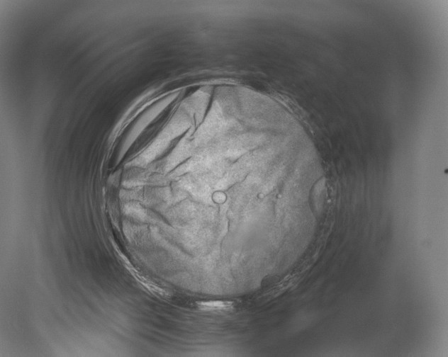 X0000080170053200701051642